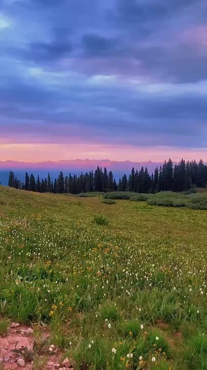 ...Дней дано не так уж много, Ты когда-нибудь поймешь, Что у жизни нет пролога — Лучший день, когда живешь