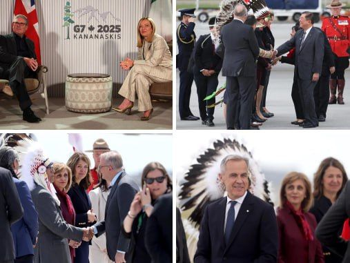 В благородном семействе раздор В благородном семействе раздор