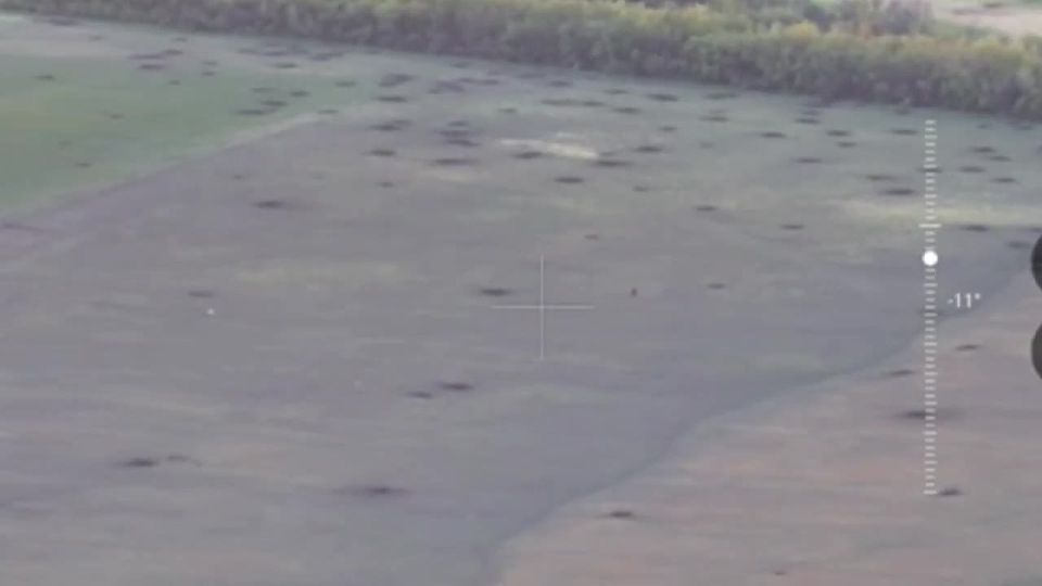 :      