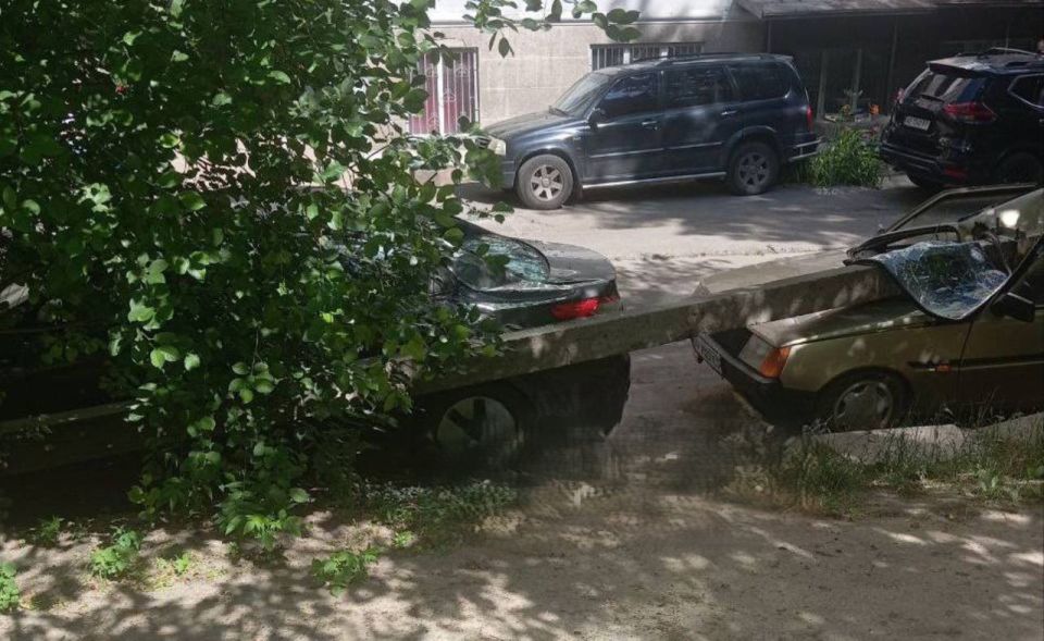 В Днепропетровске сегодня был сильный ветер - повалил дерево и электроопору на автомобили В Днепропетровске сегодня был сильный ветер - повалил дерево и электроопору на автомобили