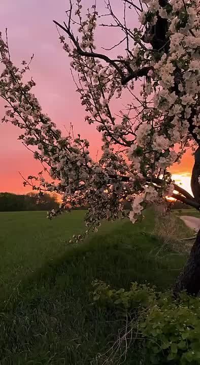 ...Чего от жизни хочется теперь? Да просто меньше боли и потерь