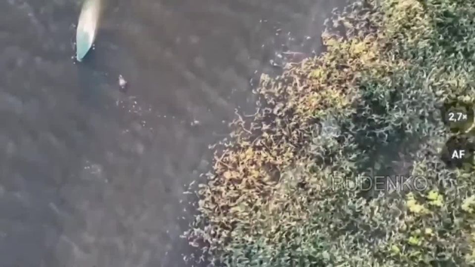  :          