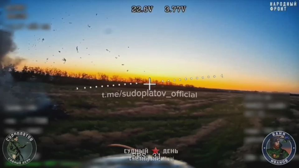    FPV-   Pbv 302        