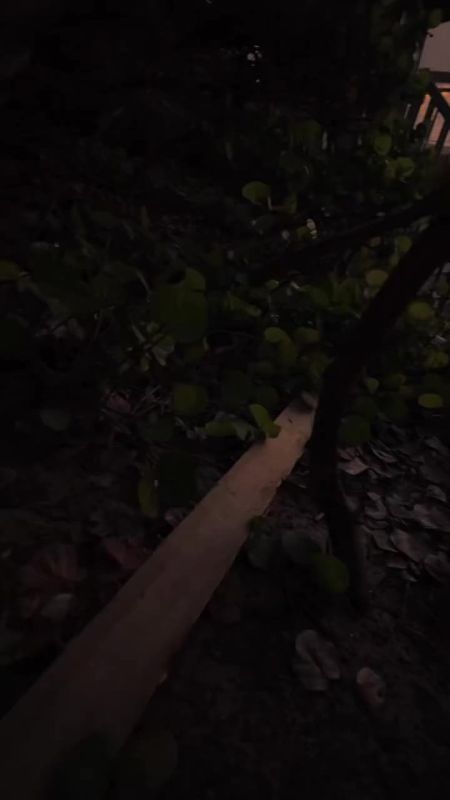 Сегодня так красиво вечереет Как будто льётся с неба благодать