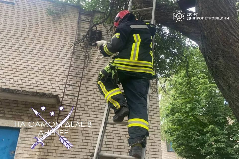 � �������/������������ 15-������ ������ ����� ������ �������, ������� ������� �� ������