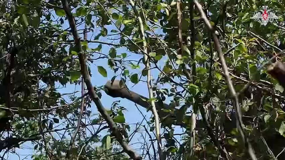 Эдуард Басурин: Минобороны России обнародовало кадры, демонстрирующие точность удара нашей артиллерии по вражеским целям