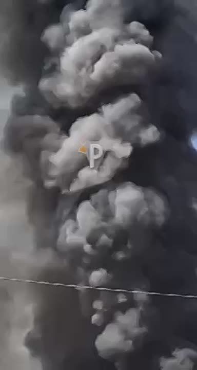  :     ,       