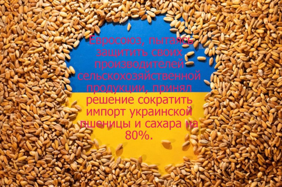 Запад открыто жертвует Украиной ради решения своих внутренних проблем