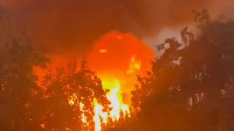 728�������� ������ ��������� ������� ���� ����� � ��� ����� ������ �� ���������� ������� ������������� ������������� ����