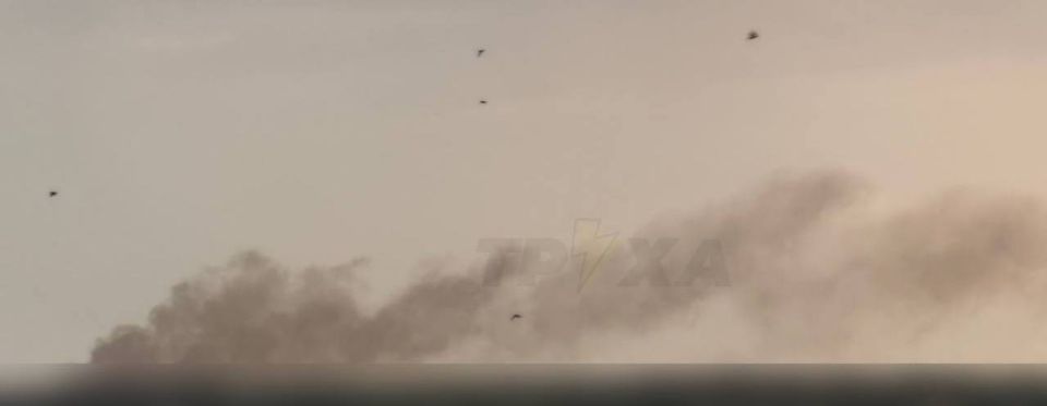 По местным пабликам инфа - к нам летят Герани По местным пабликам инфа - к нам летят Герани