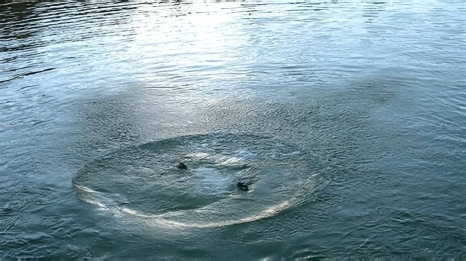 ���� 13-������ ��������, ������� ������ � �������, ������������� ������, ��� � �� ����� �������� ��-�� �������� �������