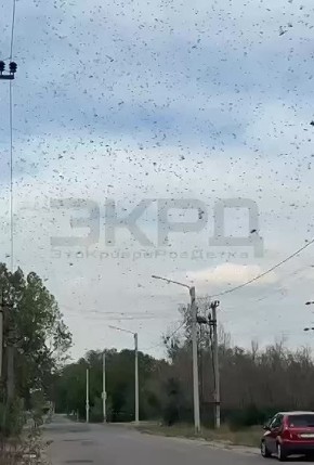     :      