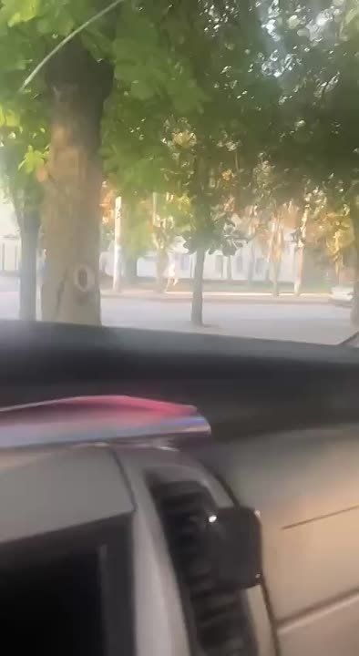 Армен Гаспарян: Шуцман в Кривом Роге избивает отца бусифицированного