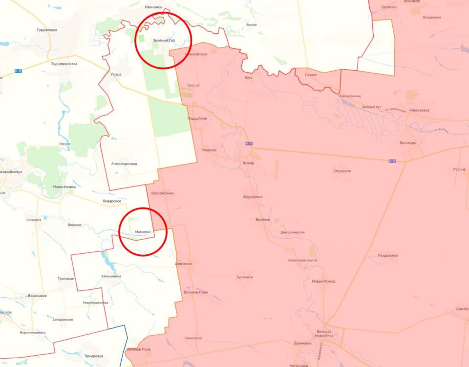 Минобороны России заявило об освобождении населённых пунктов Зелёный Гай и Малиевка в ДНР и Днепропетровской области