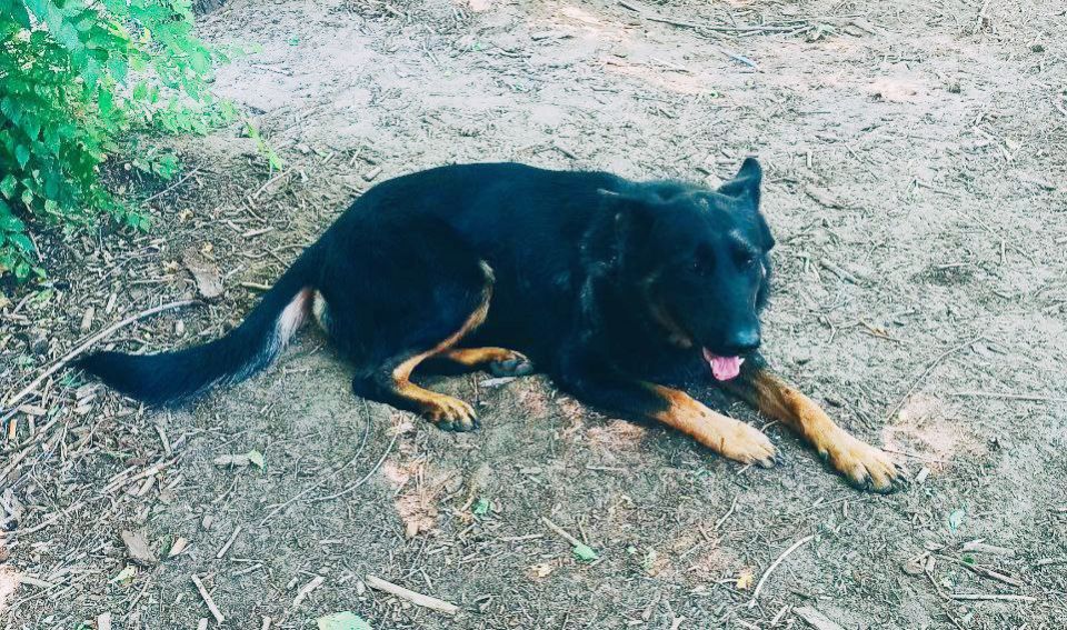 ����� � ������. ���������� �����������, ��������� ������������ ��� ������� ��������� "����"