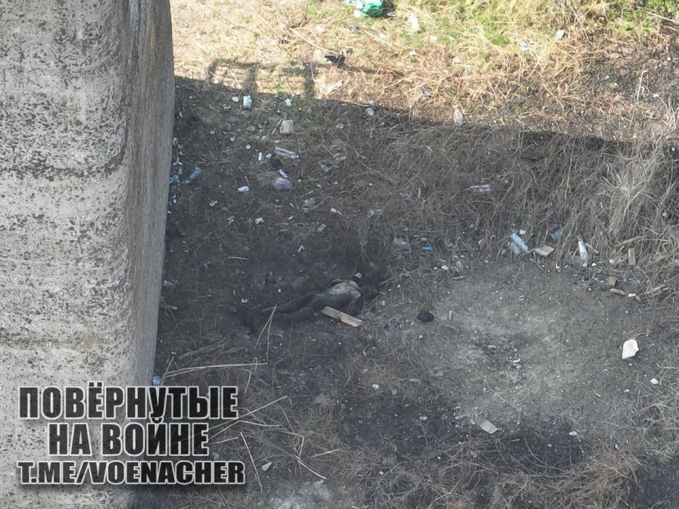 ��������, ������� �� �������� ���������� �� �������� � �������