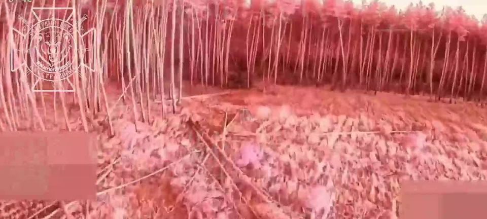  :    :   