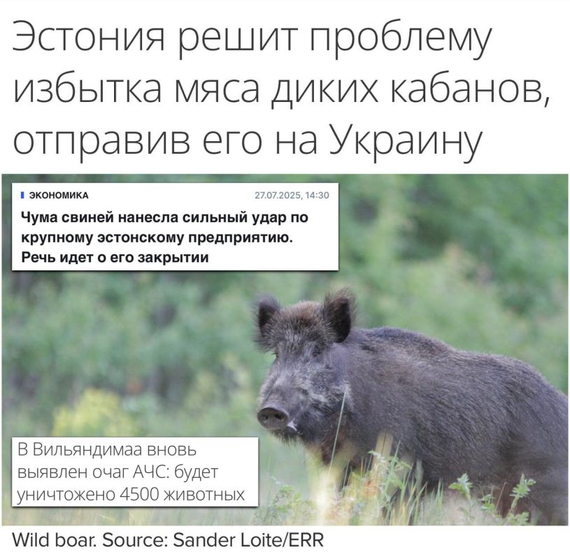 ��� ����� � � � �������� �� ������