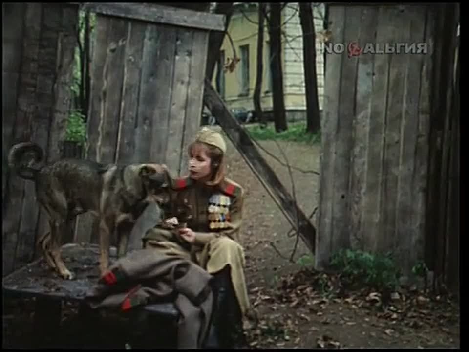 Ежедневная рубрика. Наш кинозал