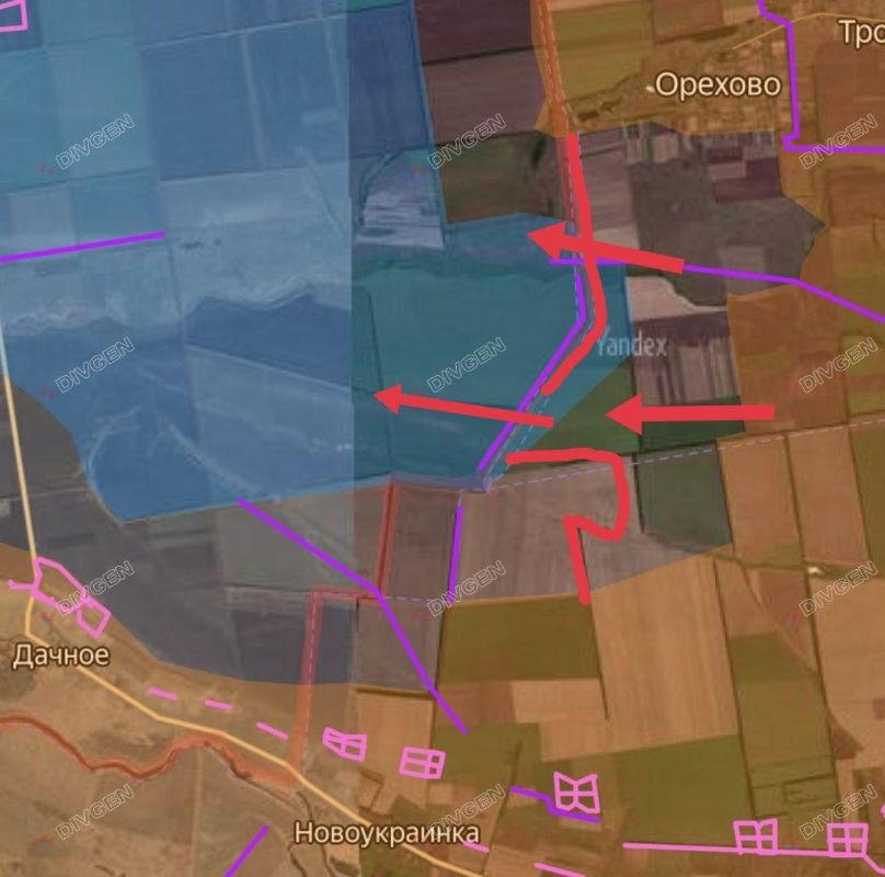 ���� �������: ���������������� �����������