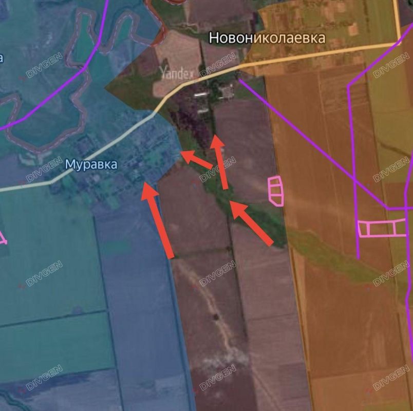 ���� �������: ���������������� �����������