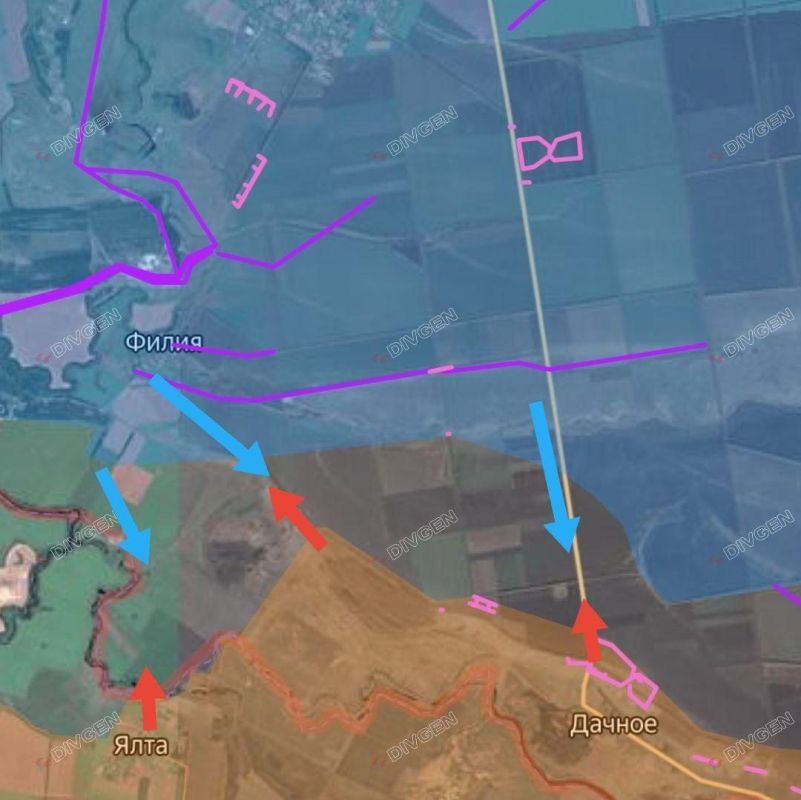 ���� �������: ���������������� �����������