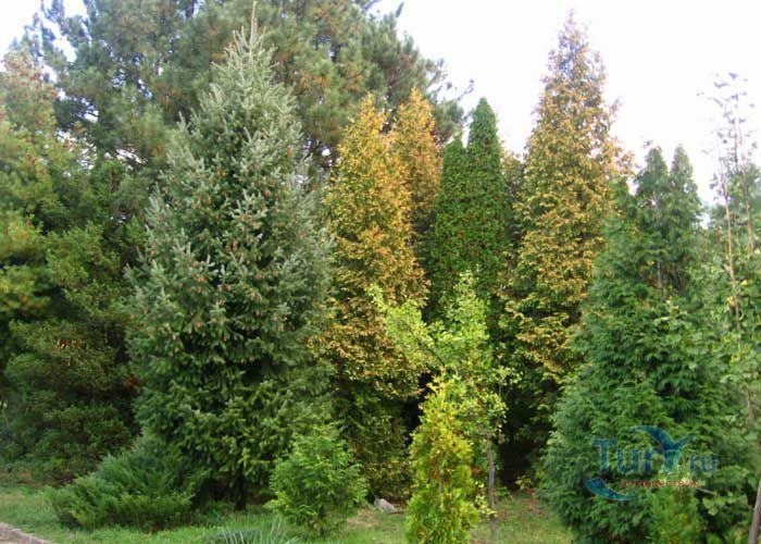 История Екатеринослава-Днепропетровска История Екатеринослава-Днепропетровска