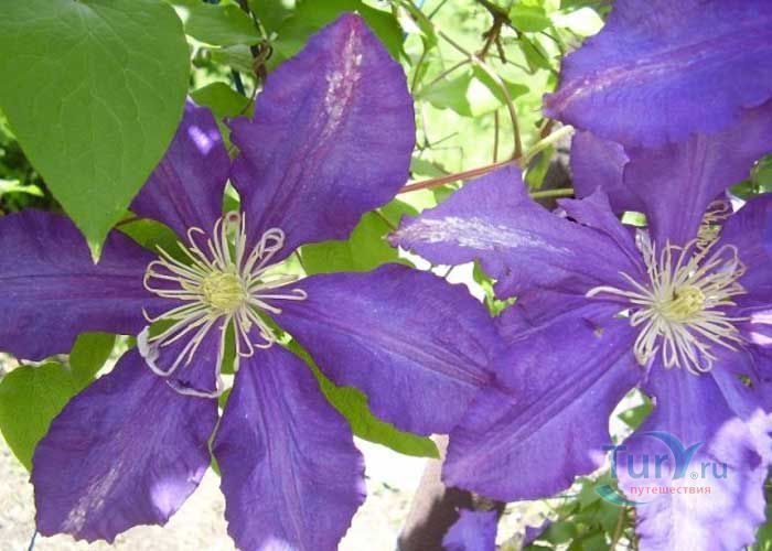 История Екатеринослава-Днепропетровска История Екатеринослава-Днепропетровска