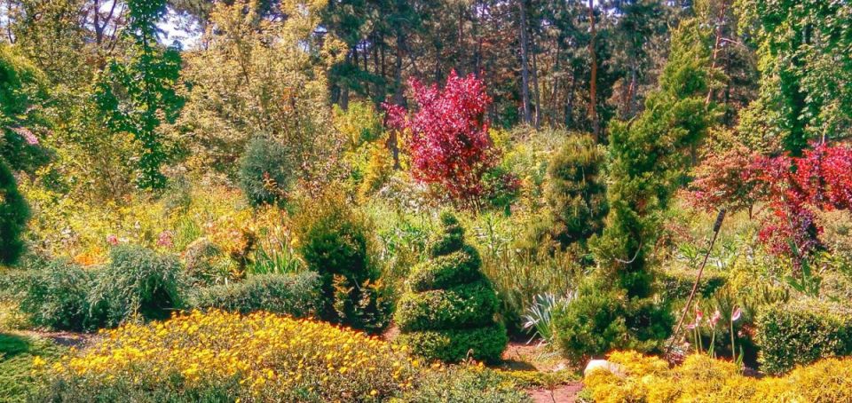 ������� ��������������-���������������