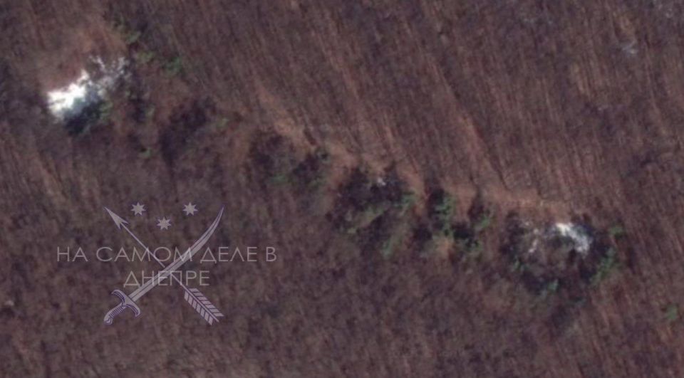 Их боротьба. В СССР было популярным высаживать деревья в лесах в форме слов «ЛЕНИН» или «ОКТЯБРЬ» Их боротьба. В СССР было популярным высаживать деревья в лесах в форме слов «ЛЕНИН» или «ОКТЯБРЬ»