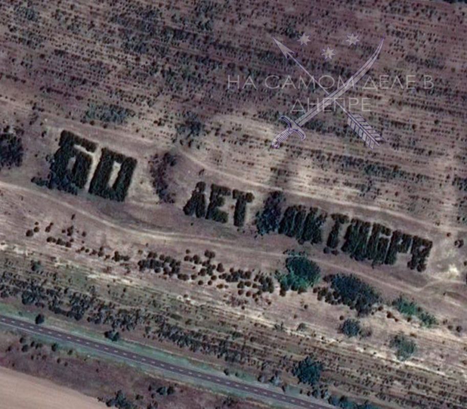 Их боротьба. В СССР было популярным высаживать деревья в лесах в форме слов «ЛЕНИН» или «ОКТЯБРЬ» Их боротьба. В СССР было популярным высаживать деревья в лесах в форме слов «ЛЕНИН» или «ОКТЯБРЬ»