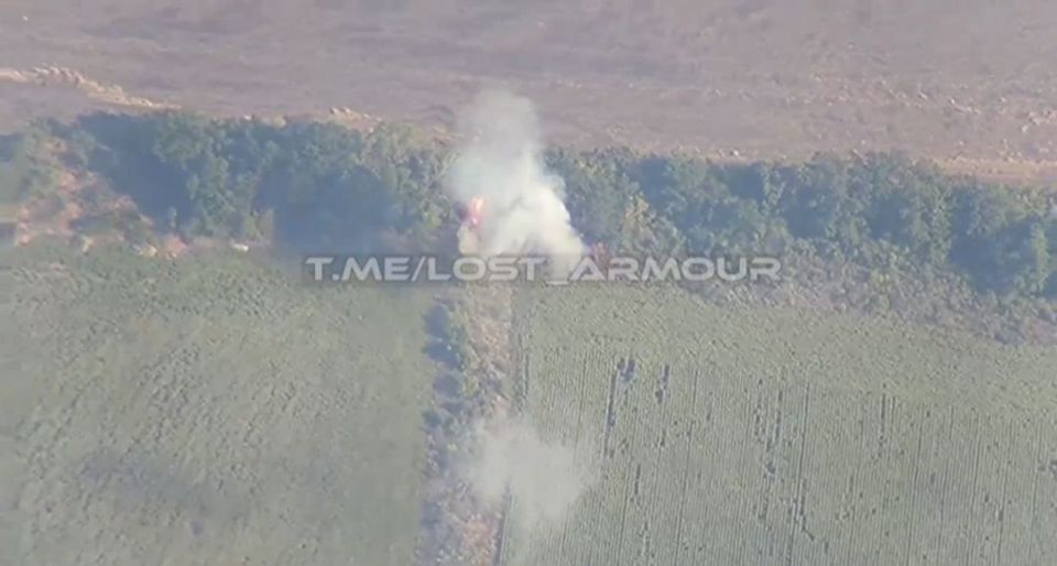 ����������� ����������� ����� � ���������������� �������