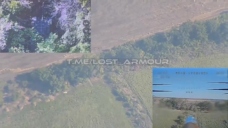 ����������� ����������� ����� � ���������������� �������