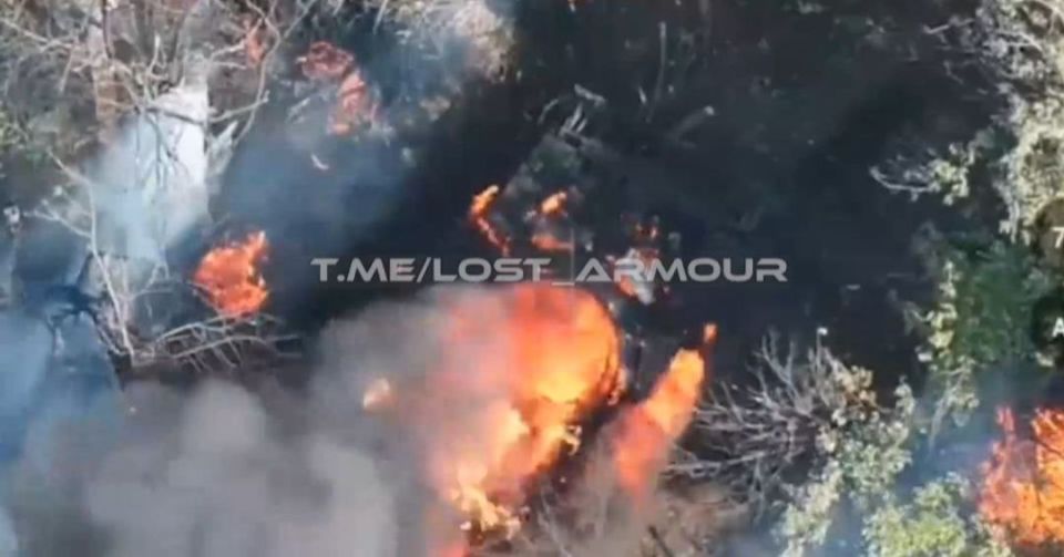 ����������� ����������� ����� � ���������������� �������