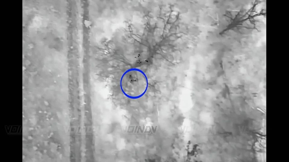 Забайкальцы продолжают очищать лесополосы на границе Днепропетровской области и ДНР от живой силы противника