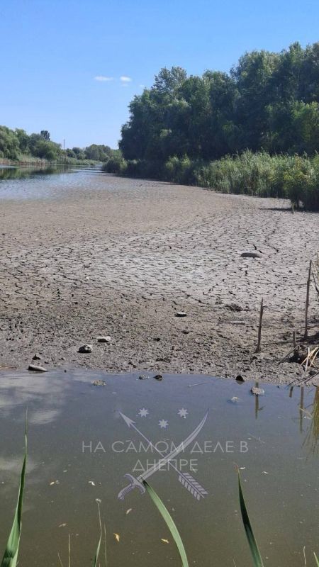 В Днепропетровске совсем обмелело озеро Курячье В Днепропетровске совсем обмелело озеро Курячье