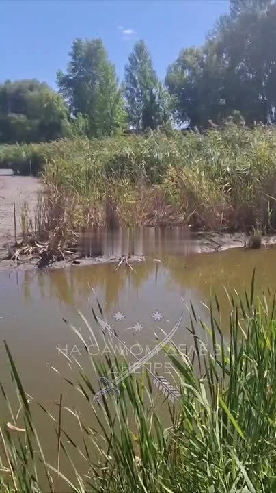 В Днепропетровске совсем обмелело озеро Курячье