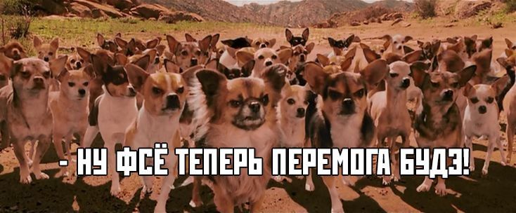  - &quot; -&quot;     ,          