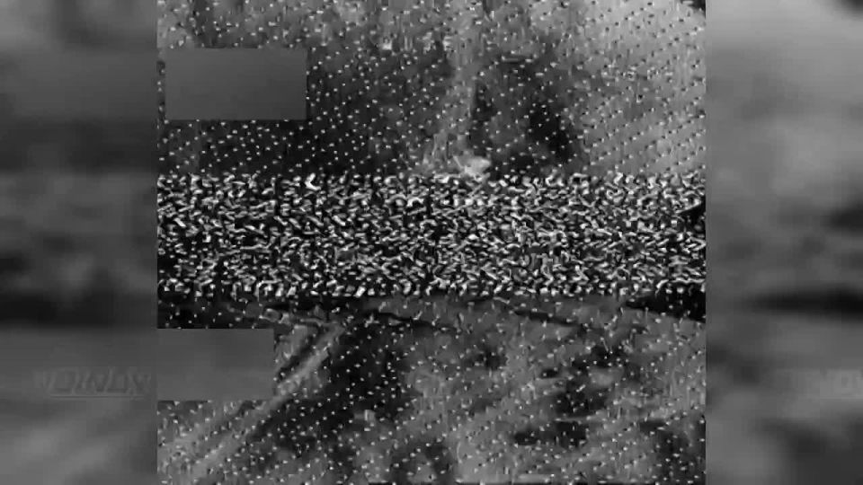 14           ,    5    &quot;&quot;