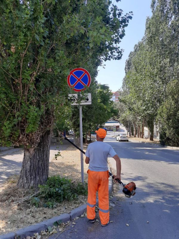  :           ,      