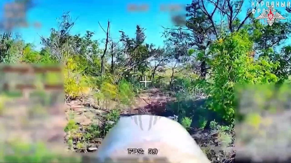 ���������� ������: ��������� ���������� ������� ������� ����������