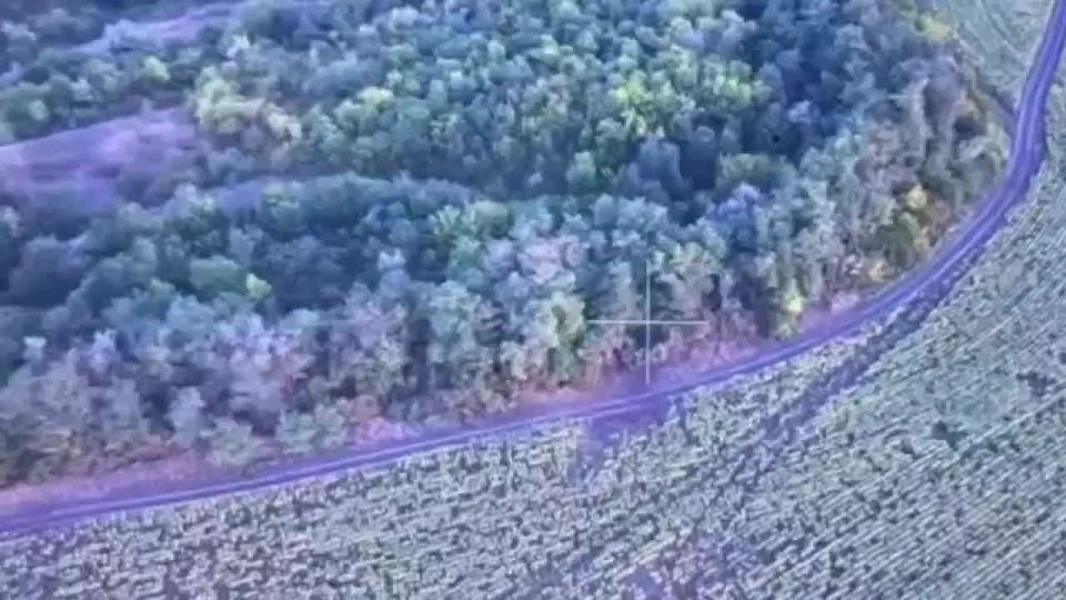 ������� ���������: ������ ��� ���� ��������� ��������������� ���� ����������