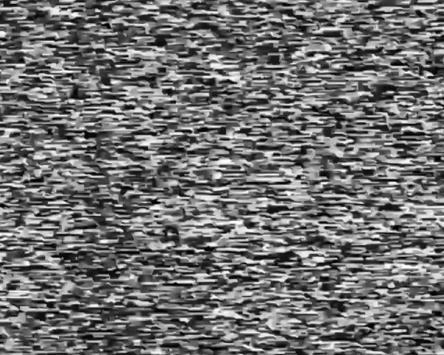 Оператор роты БпЛА бригады «Бешеные псы» выявил и уничтожил танк противника в лесопосадке на Днепропетровском направлении