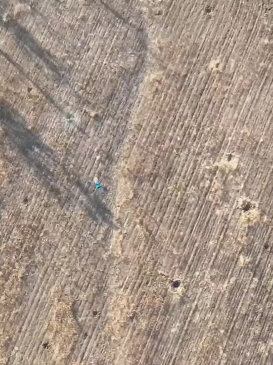 ������� �������: ���� � ���� �� ������� ������ ������