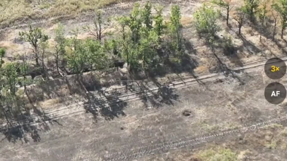 Российские дроноводы уничтожили технику и личный состав ВСУ в Запорожской области