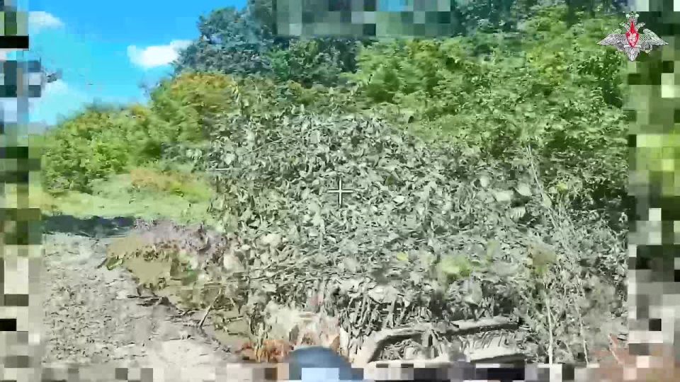 ��������� �������: ����������� ���������� �� ���� ������������