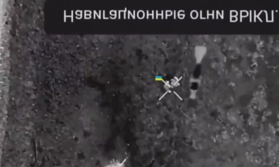 ������ �������: ������������ ���������� ��� �������������� ���� ������������ ��� ���