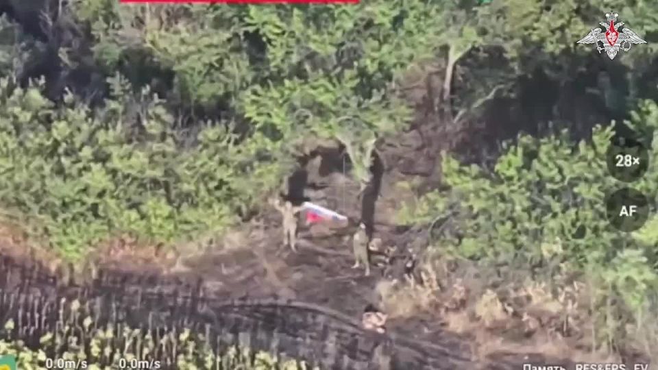 ���������� ������: �������������� 36-� ����������� �������������� ������� ����������� ����� ������� � � ��������� ������ ����������� � ���������������� �������