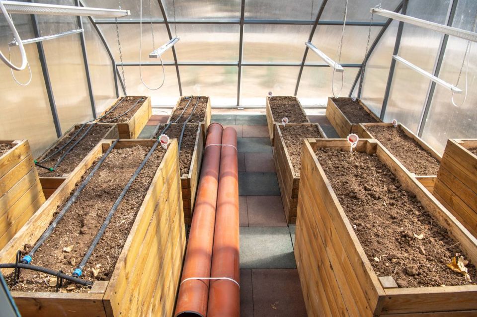 ������ ���������: �������� � ���� ������� ������� ������� � ��������