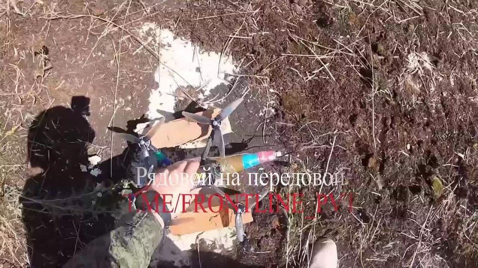 ��������� �������: ������� ������� ���� ����������� ������� ���������� ������������ ���������� � ���������������� �������